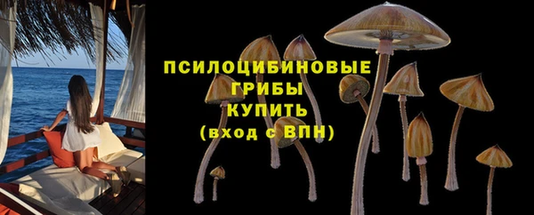 MDMA Михайловка
