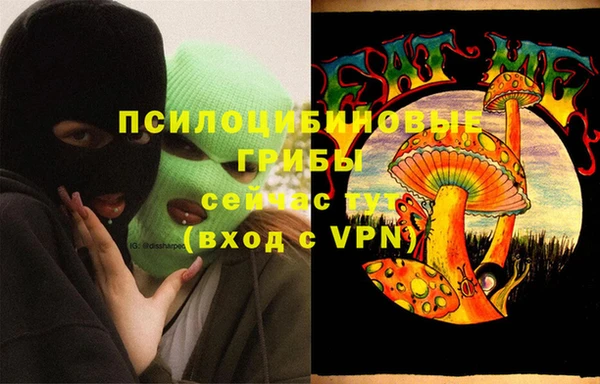 крисы Анива
